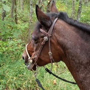 Meet your Posher, Jodi